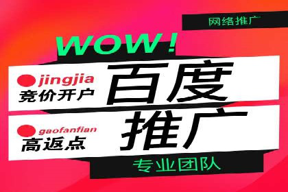 推广竞价策略解析：成功案例分享